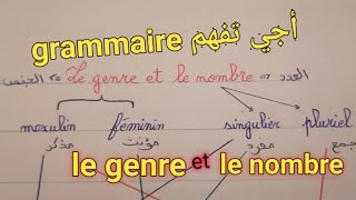 la grammaire  le genre et le nombre [upl. by Penny]