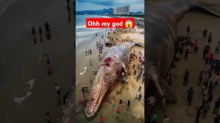 Ohh my god 😱💥 natureocean short subscribe fishing viralvideo fyp [upl. by Bibah]