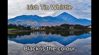 Irish tin  penny whistle Black is the Colour [upl. by Storz952]