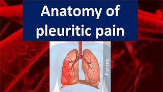 Anatomy of pleuritic pain  Mechanisms You Need to Know [upl. by Ecirrehs612]