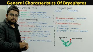 Bryophytes Plants Introduction Chapter Diversity Among Plants [upl. by Ahsael514]