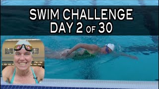 Day 2 Swim Challenge with Kona Coach Wendy Mader [upl. by Eojyllib]