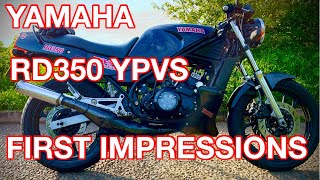 YAMAHA RD350 YPVS REVIEW [upl. by Eico]