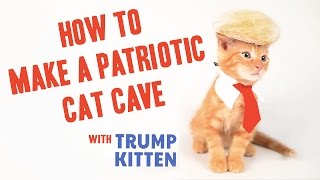 How To Make a Patriotic Cat Cave [upl. by Ronoc]