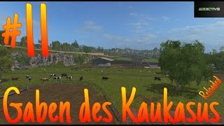 LP11 Gaben des Kaukasus LS17 Tiere versorgen und Futtermischer kaufen [upl. by Brynne]