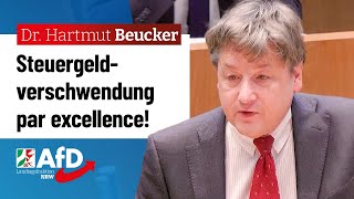 Steuergeldverschwendung par excellence – Dr Hartmut Beucker AfD [upl. by Gerlac750]