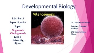 Vitellogenesis BSC PART I PAPER III BY DR LAXMI KUMARI YADAV [upl. by Humfrey]