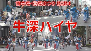 日本橋・京橋まつり2024「牛深ハイヤ」東京牛深ハイヤの会・天草市役所牛深ハイヤチーム合同演舞 阿波おどりコラボも！ [upl. by Evanne]