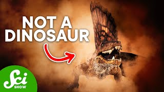 5 Famous Dinosaurs That Arent Actually Dinosaurs [upl. by Fiore302]