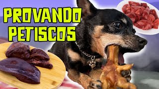 PROVANDO PETISCOS DE CACHORRO  MEUS CACHORROS COMERAM FÍGADO CRU  Parte 5 [upl. by Sreip68]