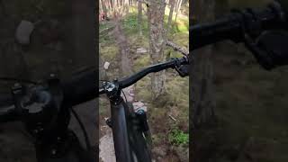 Have you rode this epic trail Deliverance  Aboyne mtb ukmtb mountainbiking enduromtb mtblife [upl. by Ahsimal]