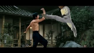 BRUCE LEE vs JACKIE CHAN [upl. by Arabelle]