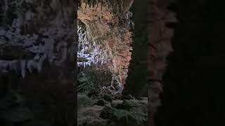 The natural beauty of callao cave philippines cagayan 2024 [upl. by Lael56]