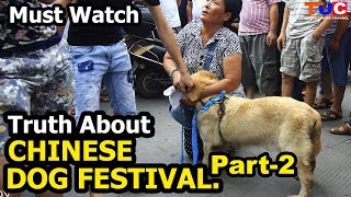 Truth About CHINESE DOG FESTIVAL Part2  Things You Should Know  TUC [upl. by Arihaj]