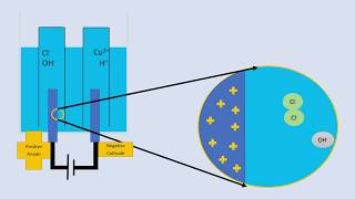 Electrolysis half equations for copper chloride [upl. by Teague]