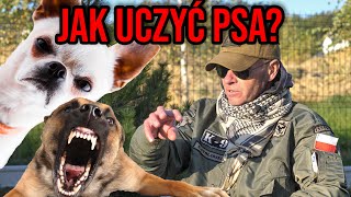 JAK ODUCZYĆ PSA AGRESJI [upl. by Konikow]