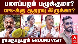 OPS in Ramanathapuram  பலாப்பழம் பழுக்குமா OPS  க்கு ஆதரவு இருக்காராமநாதபுரம் Ground Visit [upl. by Wiener]