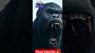 Gorilla👿 protecting the Tarzan🔥 thelegendoftarzan marvel marvelstudious [upl. by Sacul716]