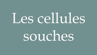 How to Pronounce Les cellules souches Stem cells Correctly in French [upl. by Anair]