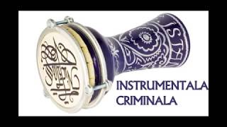 Instrumentala Criminala 2019 Tarabana Super Hit [upl. by Vogeley]