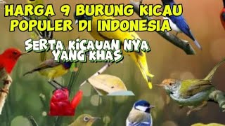 Harga 9 Jenis Burung Kicau Populer Di Indonesia [upl. by Nalliuq688]