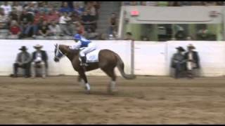 2010 Freestyle Reining Winner [upl. by Barolet230]