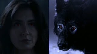 Talia Hale Alpha Werewolf Scenes  Teen Wolf Season 3 [upl. by Acassej602]