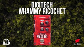 Digitech WHAMMY RICOCHET digitech whammy [upl. by Lahcear]