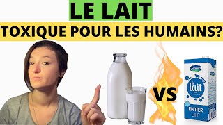 Lait Cru vs Lait pasteurisé  Poison ou Panacée [upl. by Ardnassela]