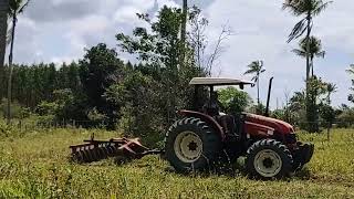 CUMURUXATIBA PRADO BAHIA TERRA CHÃ SETEMBRO 2024 [upl. by Ahsila]