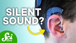 What a Cochlear Implant Actually Sounds Like [upl. by Fanestil]