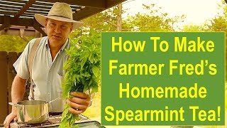 How To Make Farmer Freds HOMEMADE Spearmint Tea [upl. by Acinnor918]