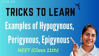 Trick to learn Examples of Hypogynous Perigynous Epigynous [upl. by Leksehc]