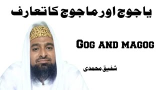 Gog And Magog  Islamic Bayan In Urdu  Shafiq Muhammadi 92 [upl. by Sharona688]