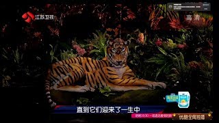 Animal Illusions by Johannes Stoetter on Chinese Talent Program BEYOND SHOW [upl. by Aihsem]