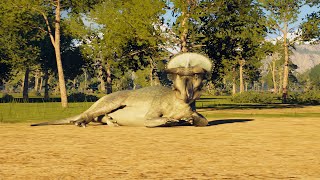 NASUTOCERATOPS 10 MIN  PREHISTORIC KINGDOM [upl. by Zacharie494]