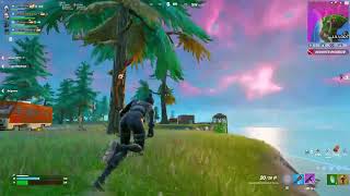 Fortnite cown down for Fortnite mears [upl. by Berliner]