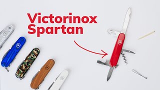 The Victorinox Spartan  A CLASSIC EDC [upl. by Ynotna]