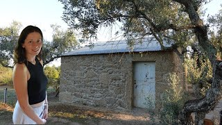 RESTORING 100yearold ABANDONED BARN to Off Grid Homestead [upl. by Kcirtap740]