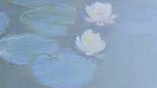 Los nenúfares de Monet Música Strauss Consuelo Albert Más [upl. by Atnuahc]