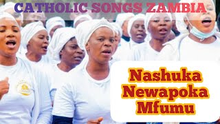 Newapoka mfumuCatholic best Zambian songs official audio catholicsongs [upl. by Yelssew]