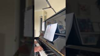 This always happens when yo being around kids Hallelujah piano cover [upl. by Airtemak868]