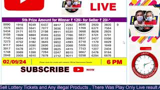 Dear lottery live 6PM 8PM Lottery live result today 02092024 sikkim and nagaland lottery live [upl. by Harihat]