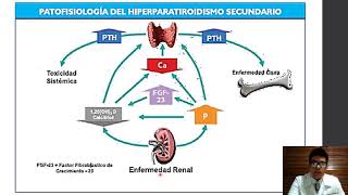 Hiperparatiroidismo e Hipoparatiroidismo  Doctorin [upl. by Sorenson832]