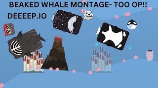 beaked whale montage deeeepio [upl. by Muryh]