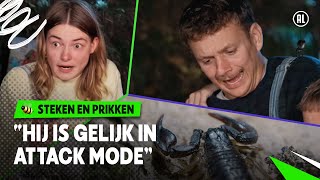 ANGEL VAN SCHORPIOEN DOET HEEL VEEL PIJN 😣 🦂  Steken en Prikken  S4 8  NPO Zapp [upl. by Suiravad]