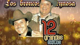 Los Broncos de Reynosa La Muerte de Reyes Ruiz Corrido regional musica Mexicana del ayer viejitas [upl. by Iatnohs682]