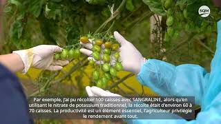 Sangral®ine Testimonial on Tomatoes SQM SCPCSAPEL Atlantis [upl. by Satterfield]