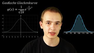 Mein IQ und die Normalverteilung [upl. by Cirded]