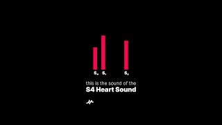 S4 Heart Sound [upl. by Phillip]